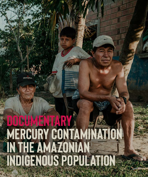 Mercury contamination in the Amazonian indigenous population 